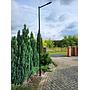 Pole lighting mast 300cm diameter 60mm base 20x20cm Black